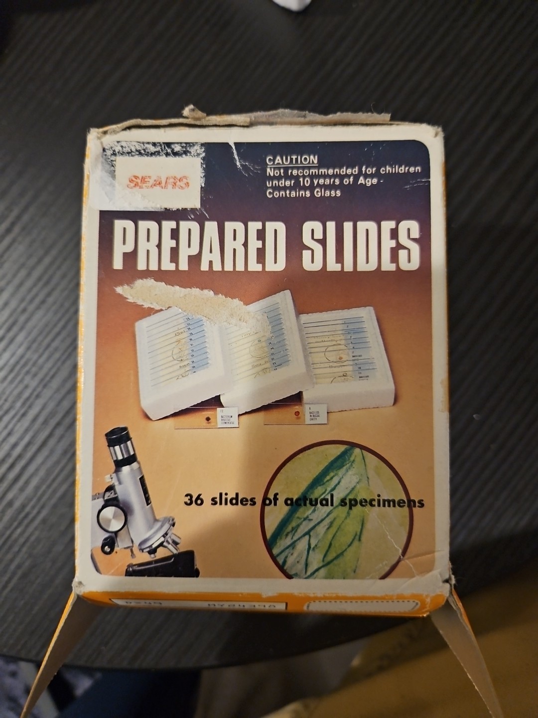35 Prepared Slides