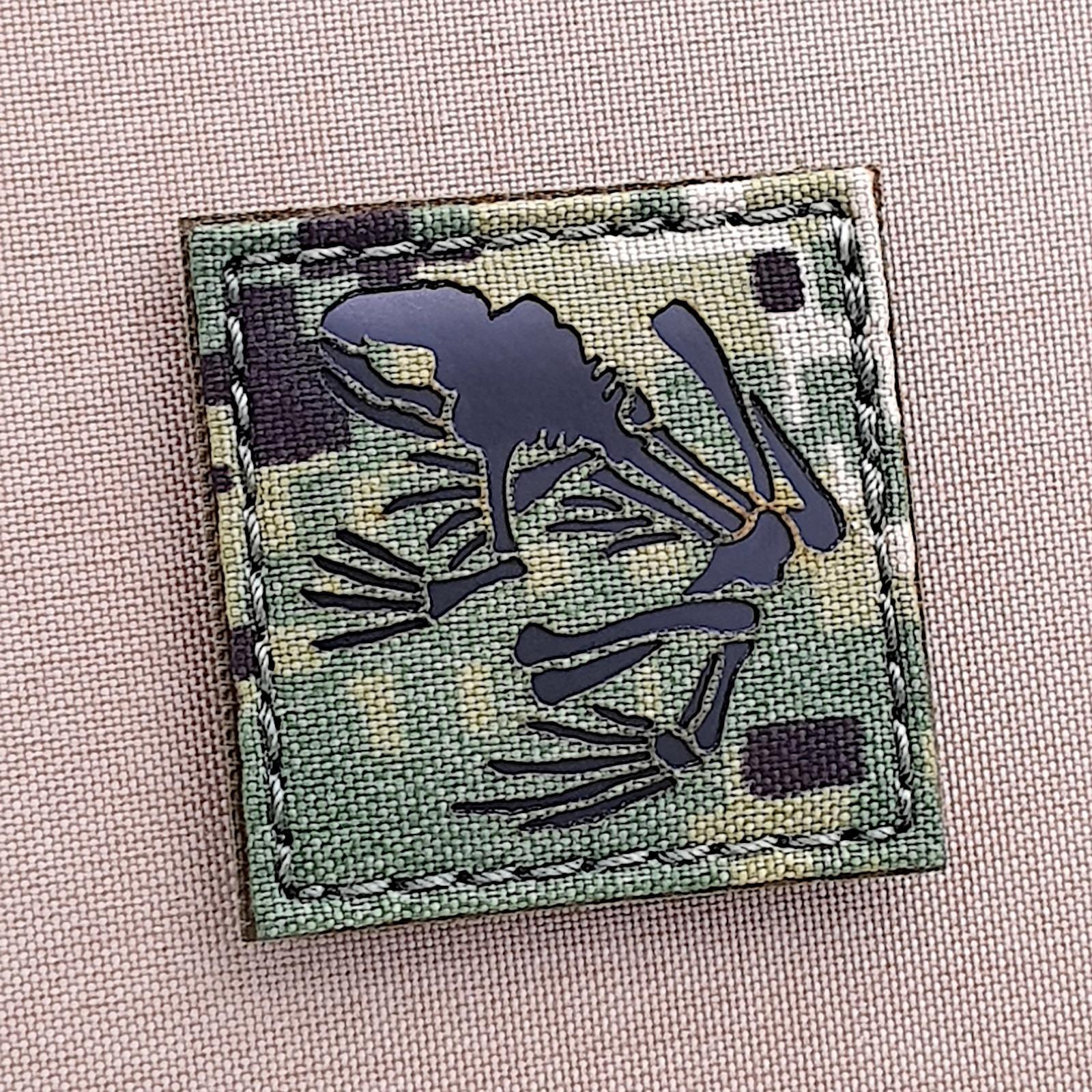 Frog Skeleton Bone 2x2 IR AOR2 NSW Type 3 NSWDG Navy SEALs SEAL patch