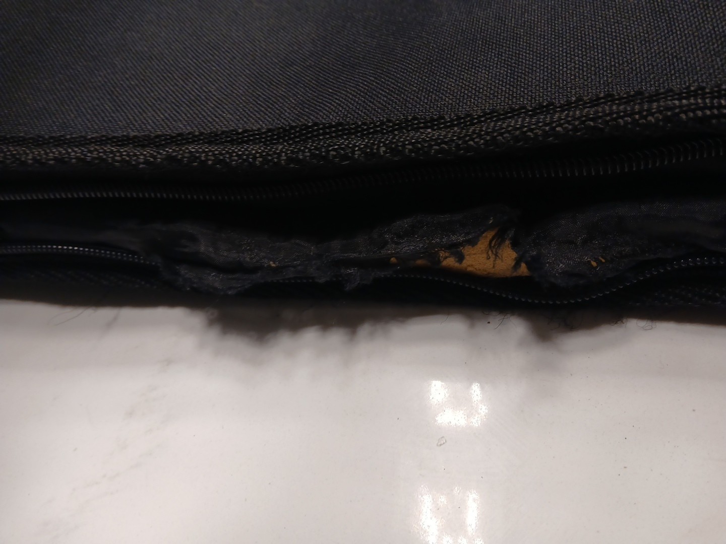 Fender Guitar Case