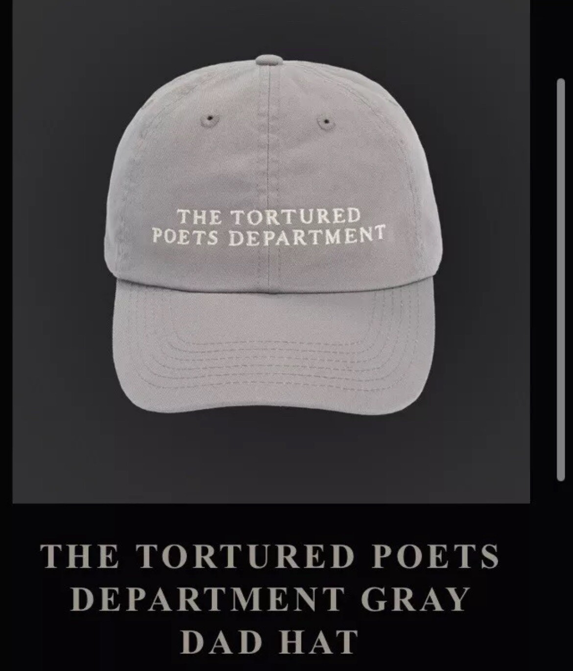 The Tortured Poets Department Gray Dad Hat - Taylor Swift - Official- SHIP FAST