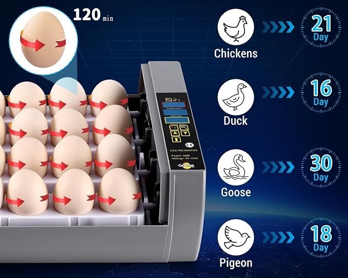 Incubators for Hatching Eggs, Egg Incubator with Automatic Egg Turning and Humid
