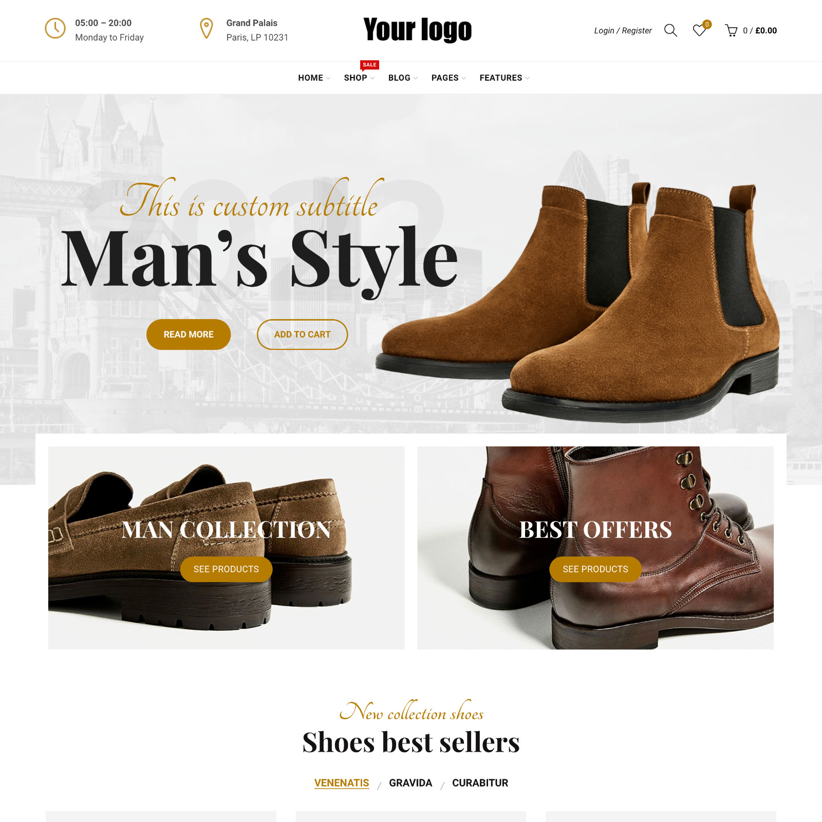 Shoes Store Website Design with Free VPS Web Hosting and Installation