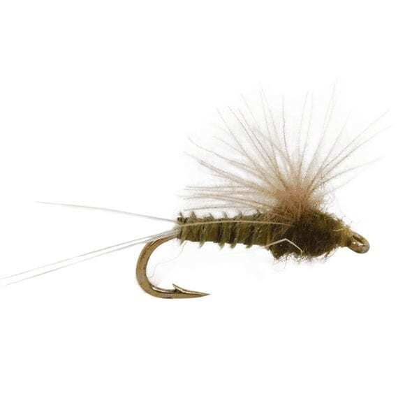 CDC Biot Compara-Dun BWO - Fly Fishing Flies (1 pc)