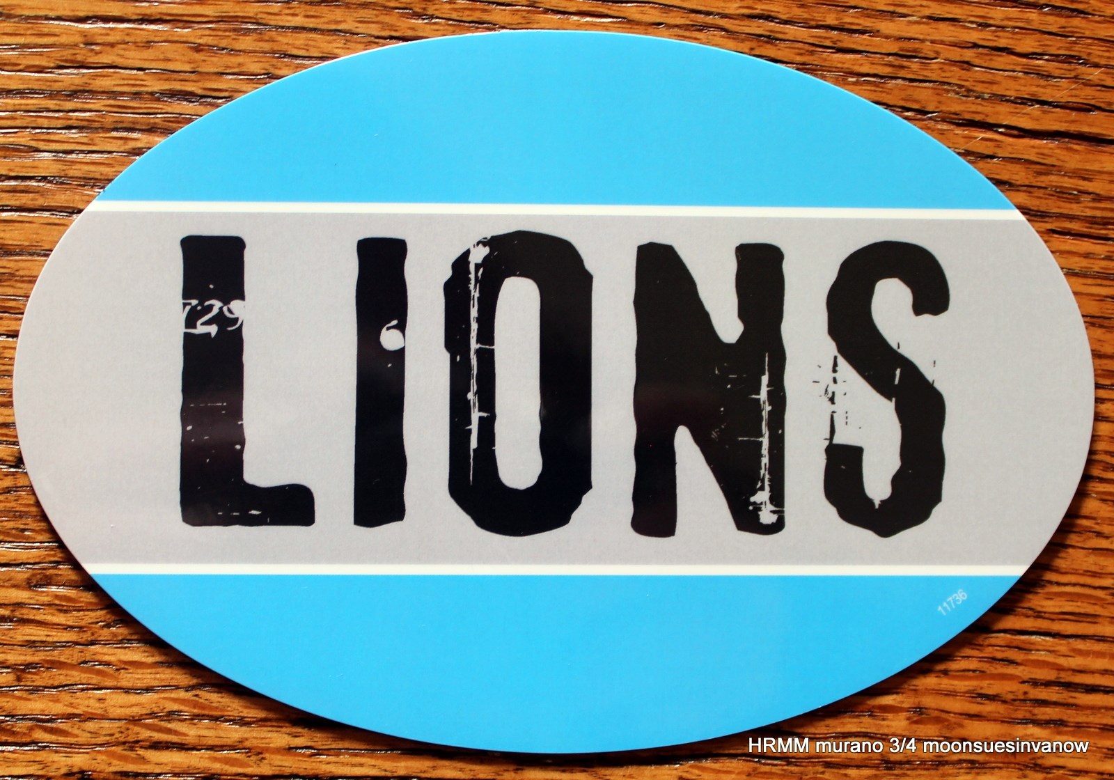 Detroit Lions Oval Car Magnet Made In The USA Football Sports Decor Waterproof
