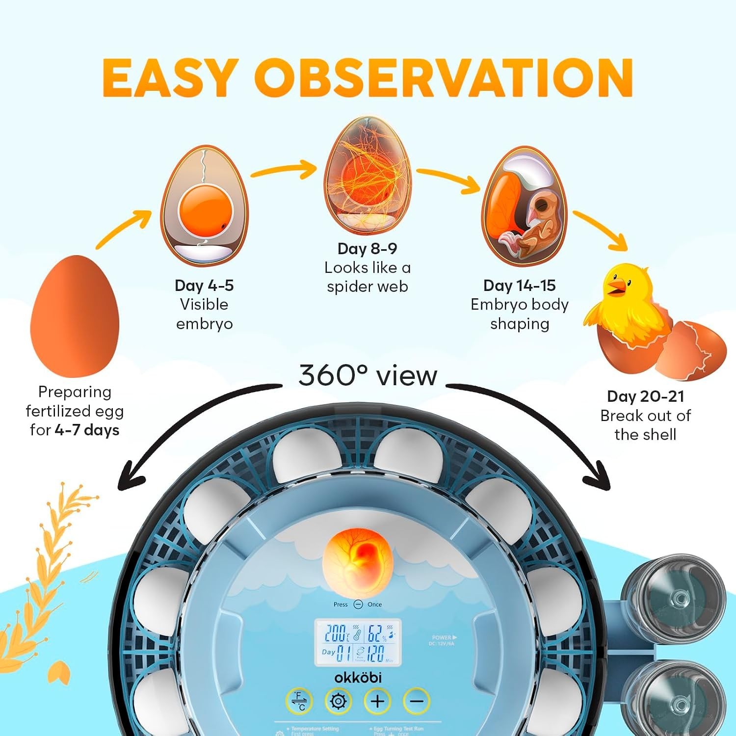 18 Egg Incubator with Automatic Egg Turning and Humidity Control – Egg Incuba...