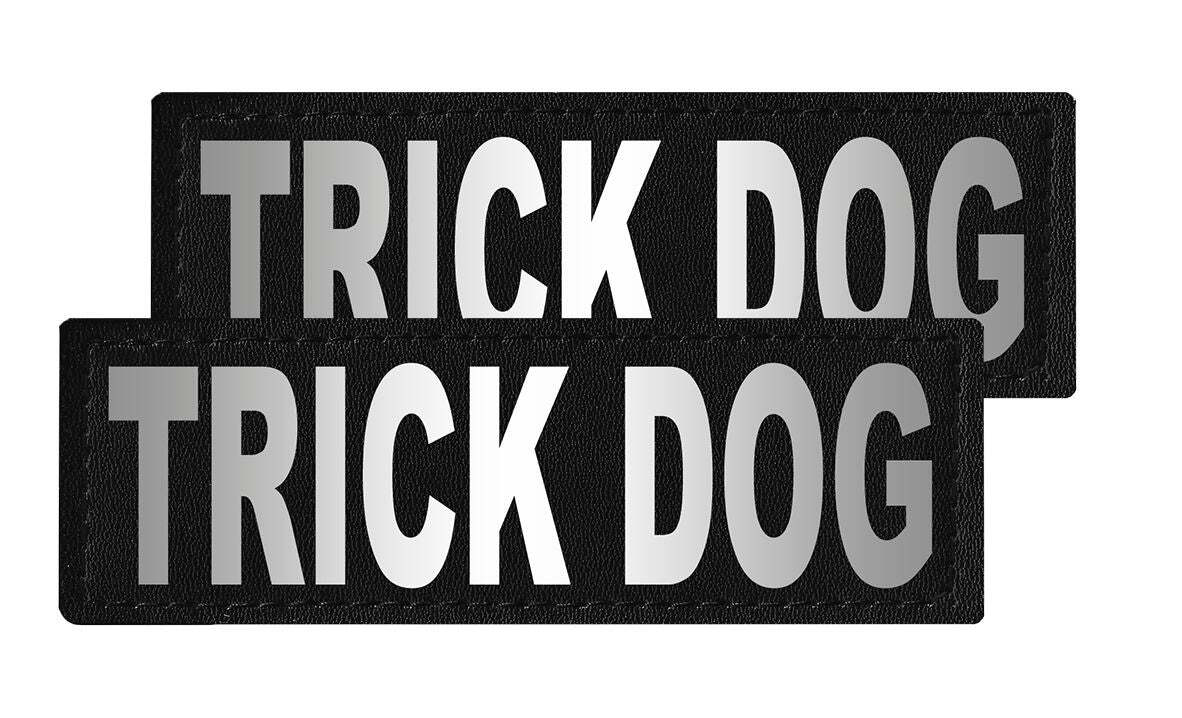 Removable Patches (2 Per Pack) - 1.5 x 4" TRICK DOG