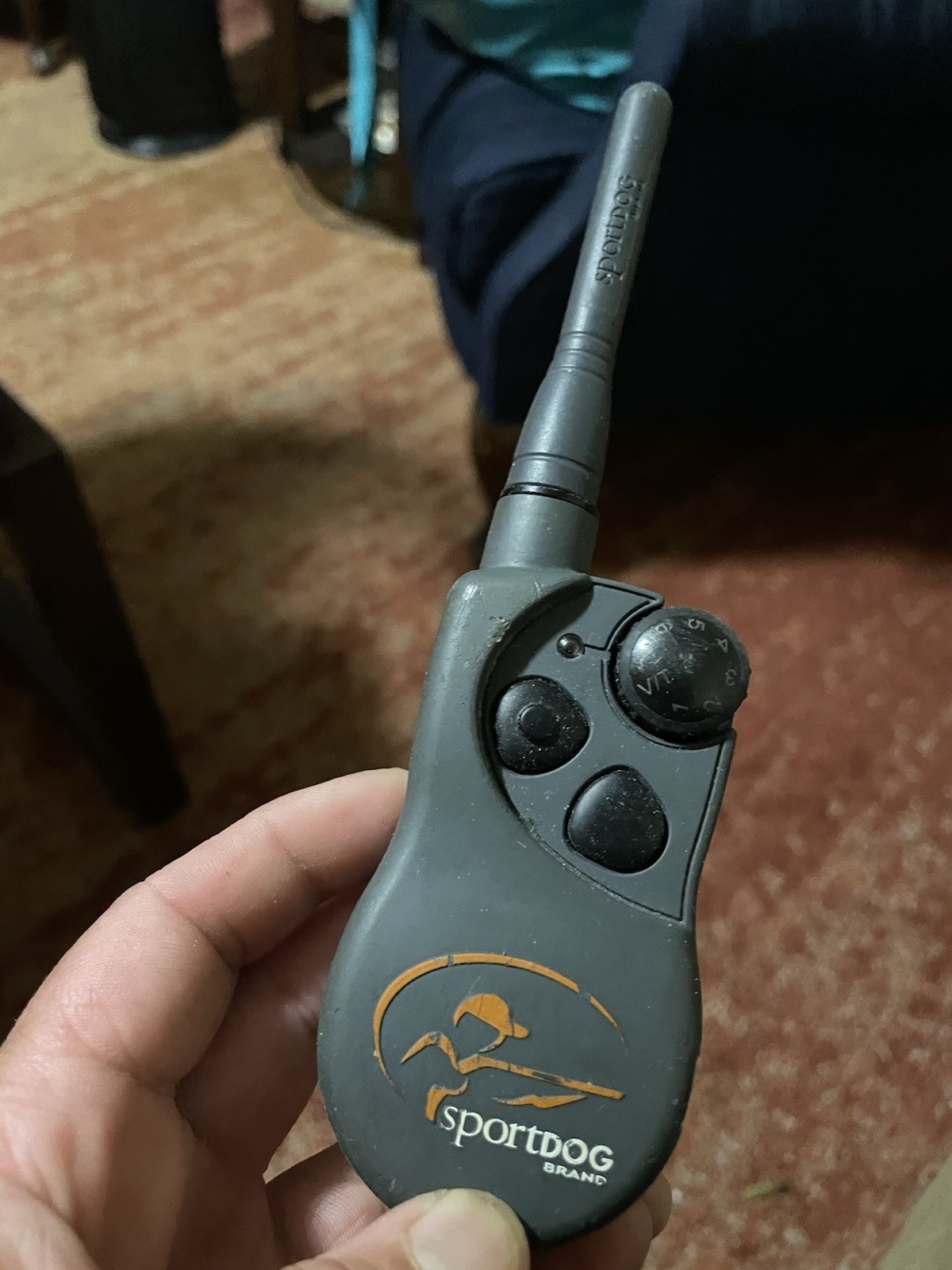 SportDOG Remote Training System Handheld Transmitter, Gray, Hunting