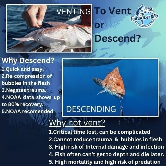 Compact Fish Descending Device - Reliable Release Tool for Red Snapper, NOAA Com