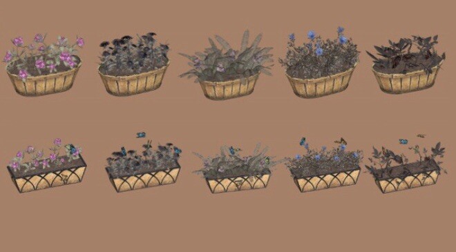 (Xbox) All 10 New Fasnacht Plans - (5 Flower Box and 5 Flowering Box Plans)