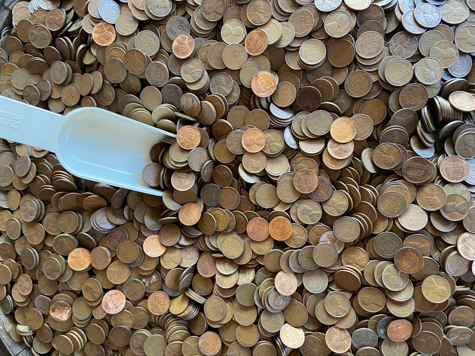 WOW!!! 1 POUND WHEAT CENT BAG FROM ESTATE HOARD FOUND IN OLD WHISKEY BARRELS  #1