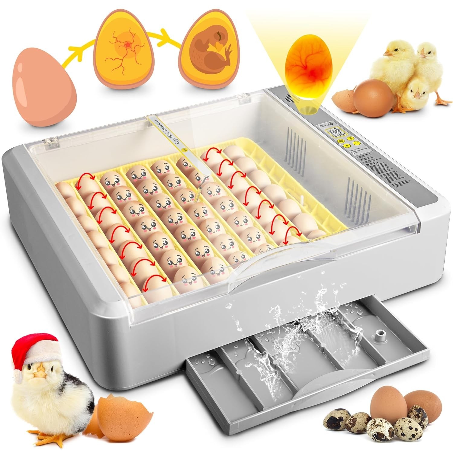 Incubadora de 18/36 huevos con volteo automático de huevos y control de humedad