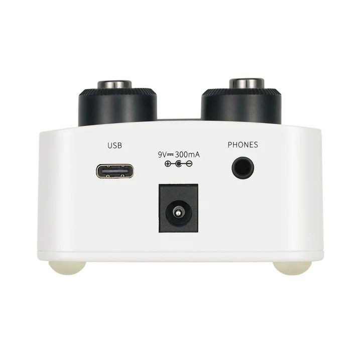 Mooer GL100 Looper with Box