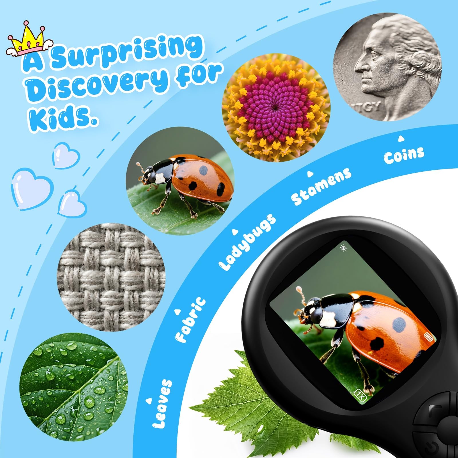 Ashfly Mini LED Pocket Microscope - Kids 5-10 - Educational Magnifying Glass