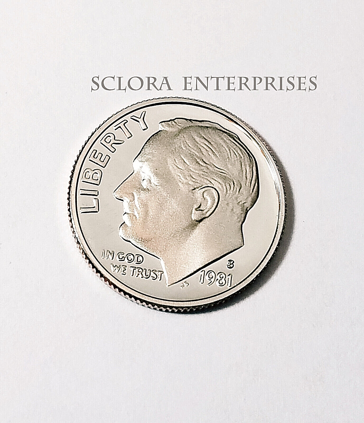 1981 S ROOSEVELT *PROOF* DIME *TYPE 1 (I)*   **FREE SHIPPING**
