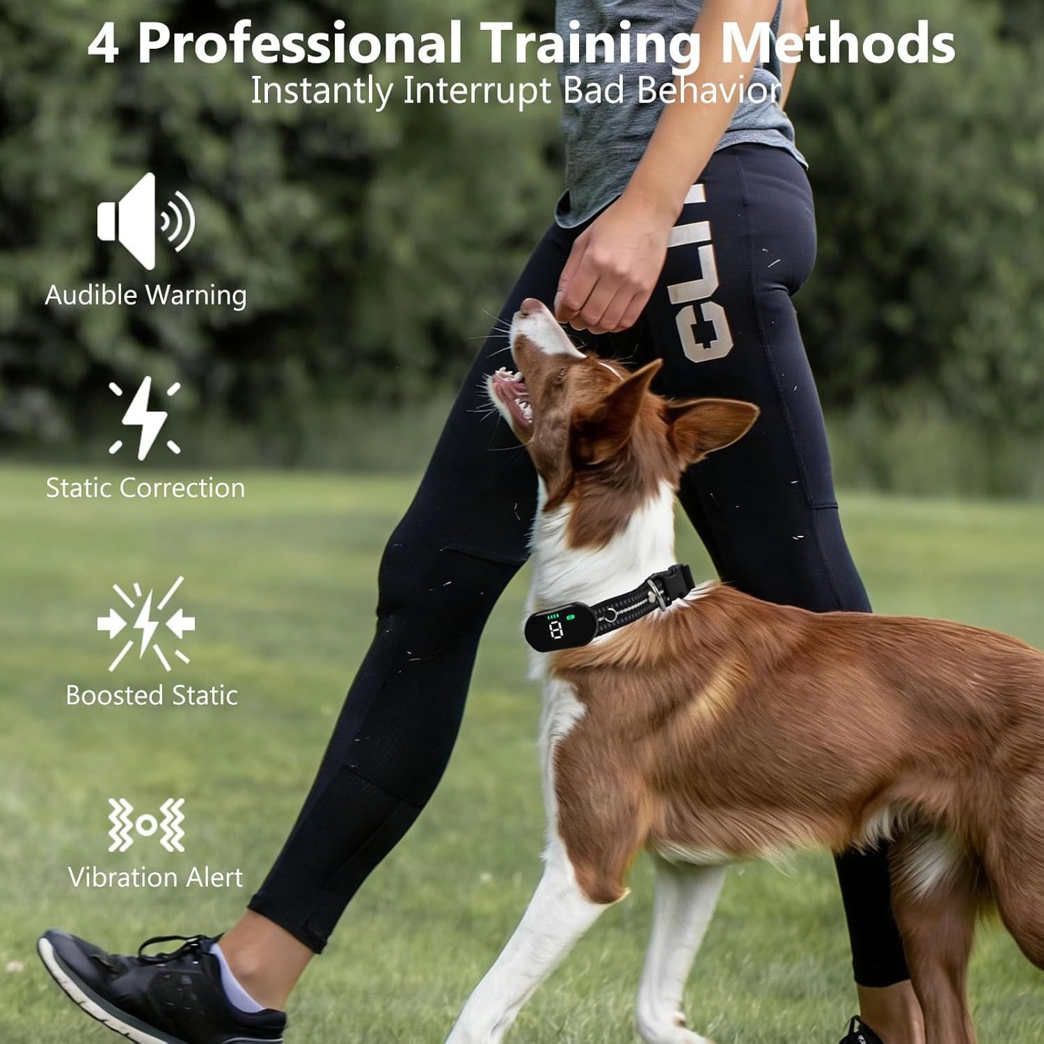 KIP Dog Training Collar with Deterrent Device, Waterproof E-Collar