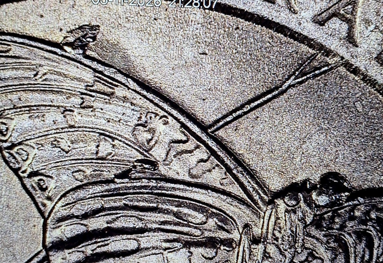 2020 P Tallgrass Prairie Quarter Error Die Chips on Butterfly Wings & Head