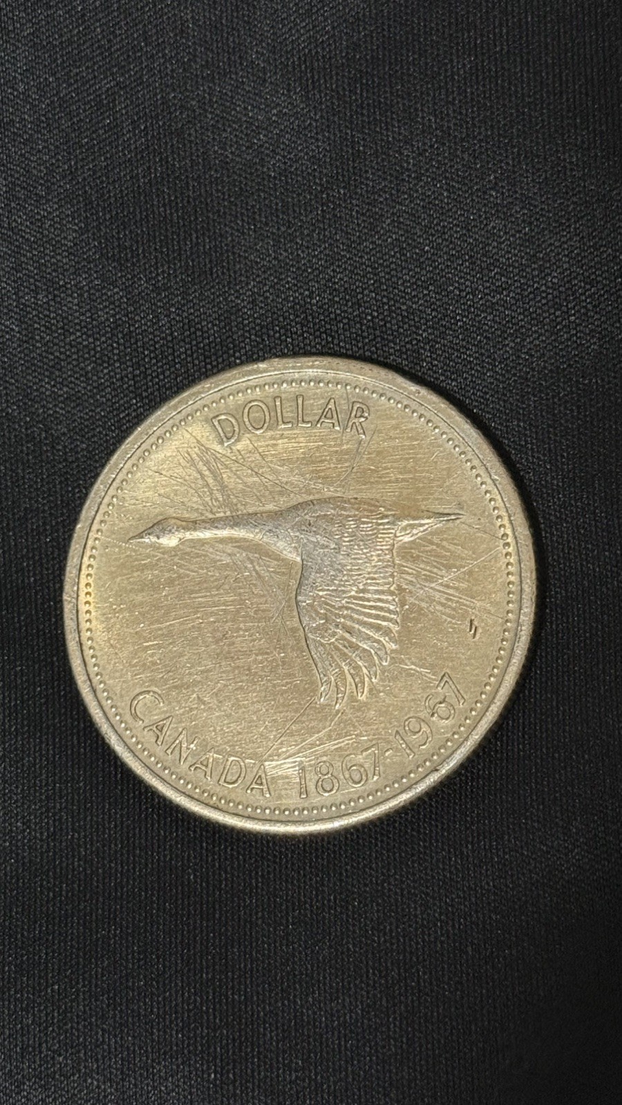 Tiara portrait - Silver Dollar Flying Goose Uncirculated - 1967 Canada 🇨🇦