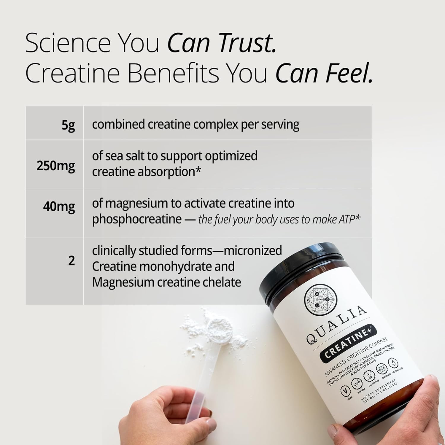 Qualia Creatine | Advanced Creatine Complex | 2 Sources + Magnesium | Optimized