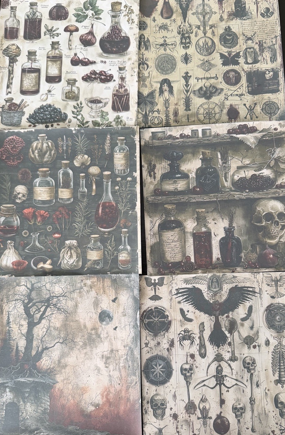 Dark Gothic Ephemera Bundle Junk Journal Kit Apothecary Skull Vintage Papers