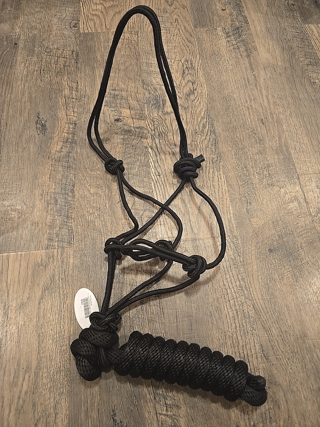 horse halter and lead rope