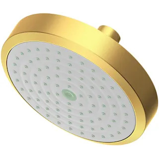 Newport Brass 2141-10 - Shower Heads Showers