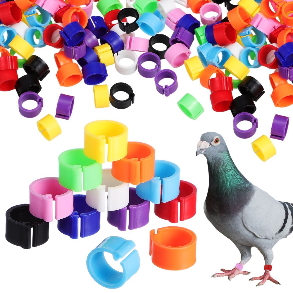 100Pcs Durable Bird Foot Rings for Pigeons Parrots Eco Friendly Assorted Colors