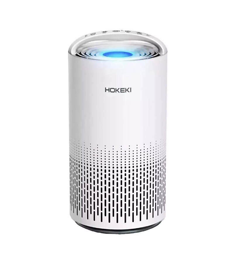 Air Purifier for Home Allergies Pets Hair Bedroom True HEPA Air Cleaner