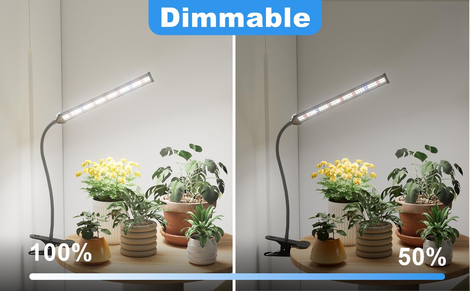 Grow Light for Indoor Plants Growing, 6000K Full Spectrum
