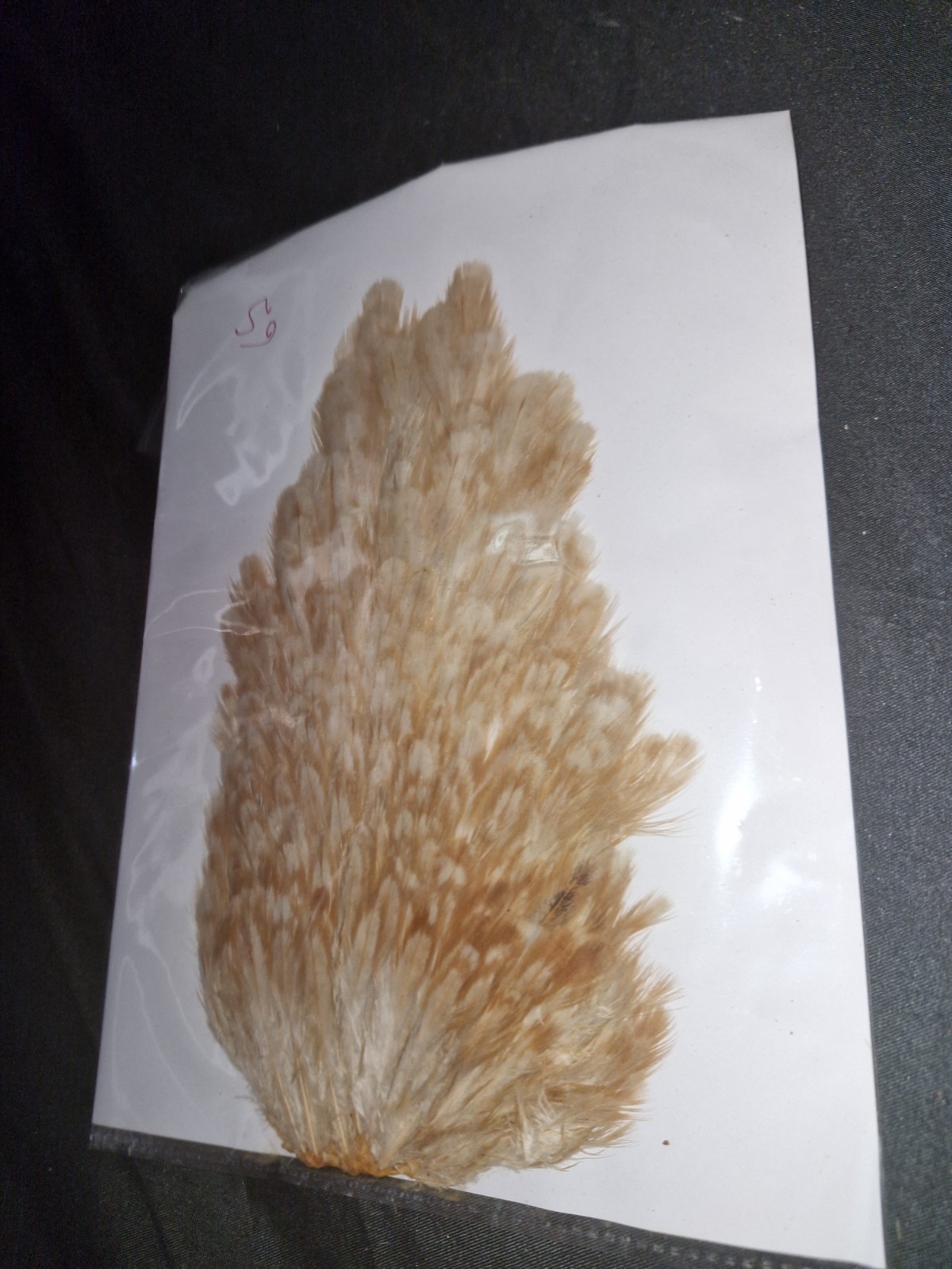 Large Saddle Hen Hackles Fly Tying Materials Feathers