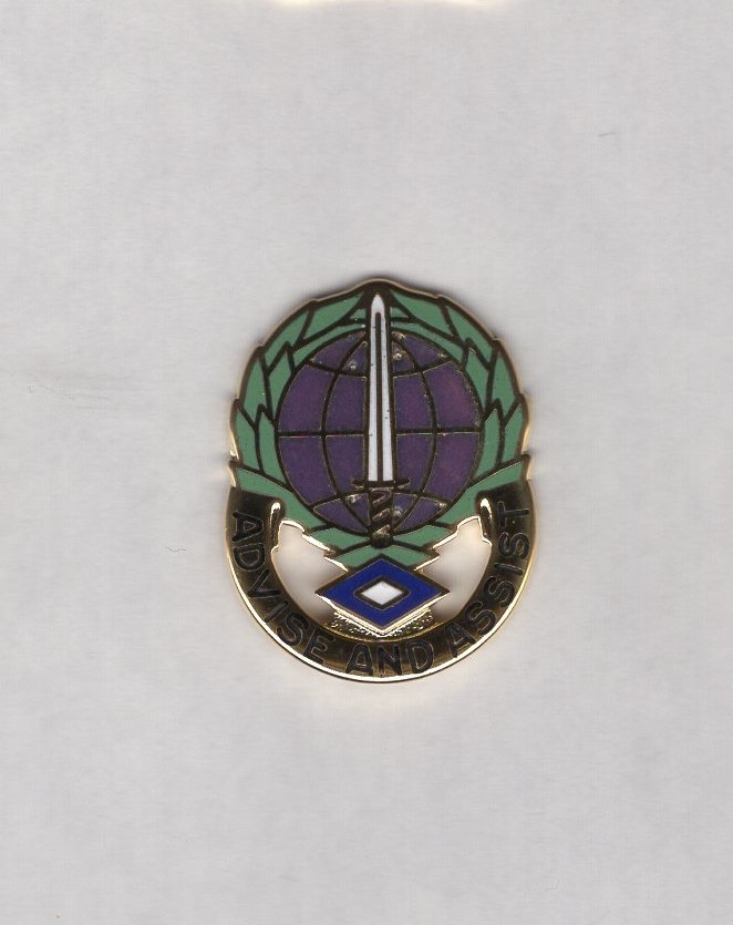 US Army 306th Civil Affairs Group crest DUI c/b clutchback badge NHM
