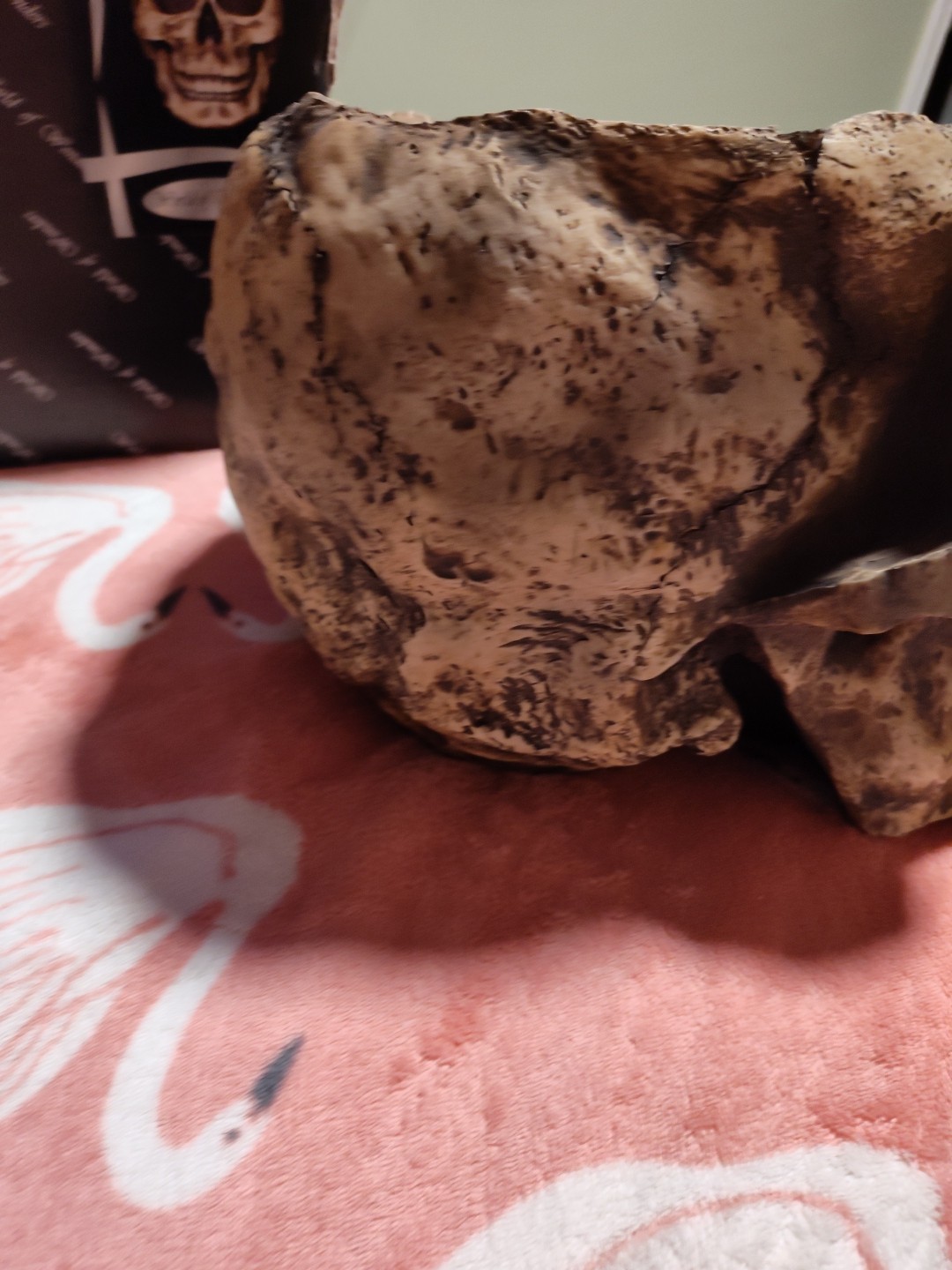 WORLD OF WONDER LARGE SKULL PLANTER