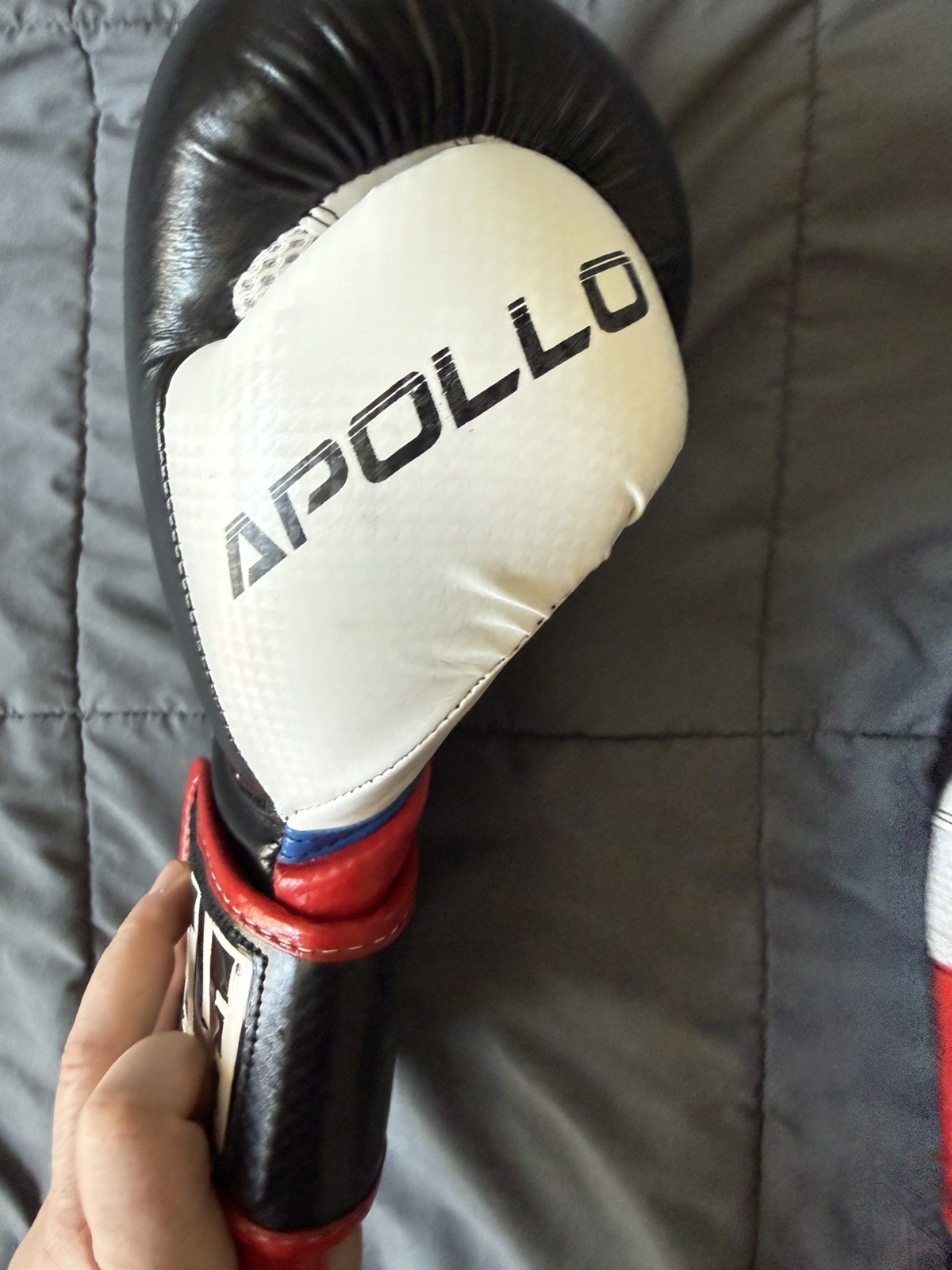 TITLE Boxing World Bag Leather Boxing Gloves 14 oz Black White Red