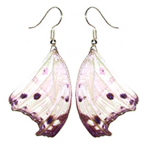 Salamis parhassus forewing pink purple black preserved butterfly wing earrings
