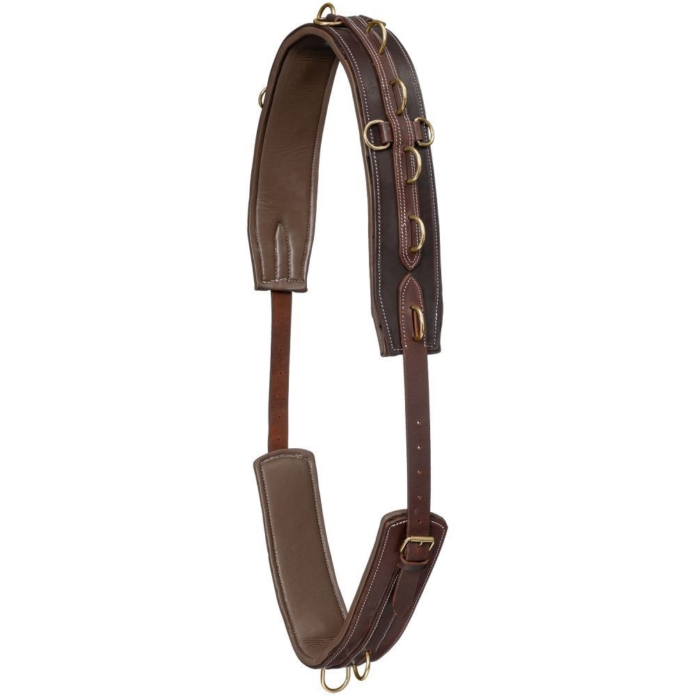 Harness Leather Training Surcingle