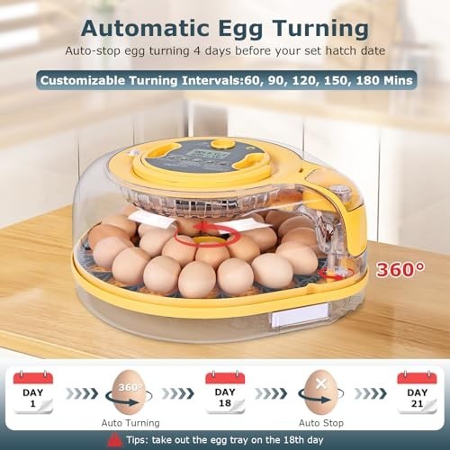 Incubators for Hatching Eggs, Egg Incubator with Automatic Egg Turning and Humid