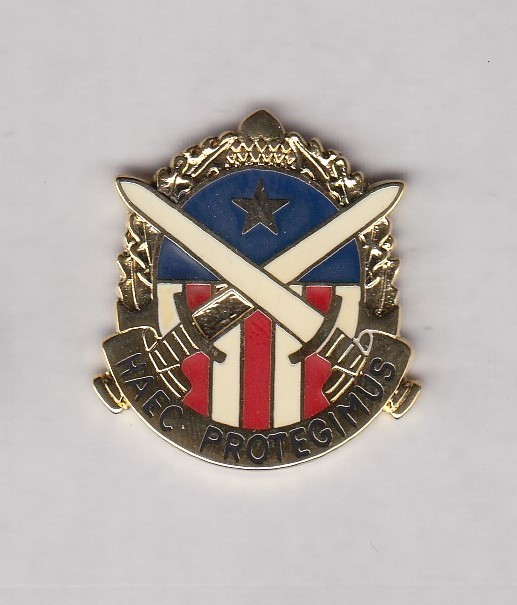 US Army Military District of Washington MDOW crest DUI badge c/b clutchback V-21