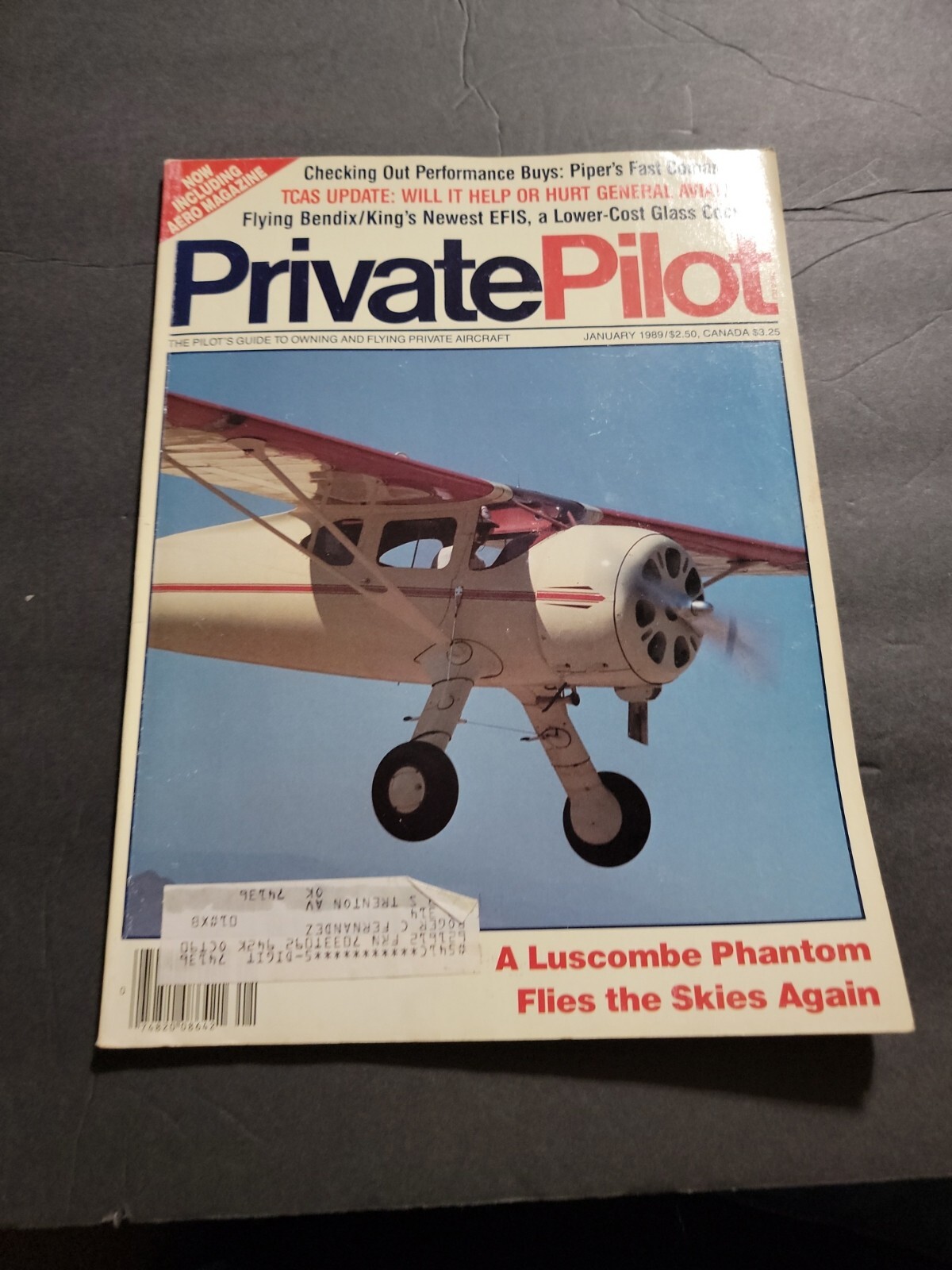 PRIVATE PILOT AVIATION MAGAZINE/LITERATURE JANUARY 1989