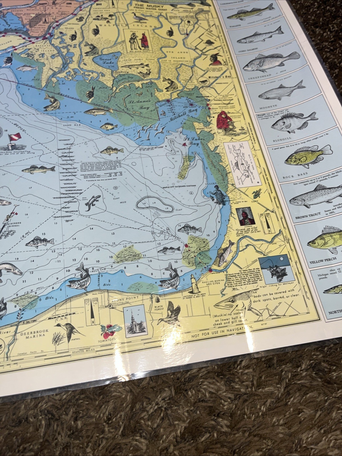 Nautical Fishing Chart Lake St Clair Michigan Laminated Map