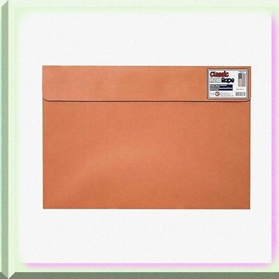 RedVelcro WalletPort 12x18 for secure storage