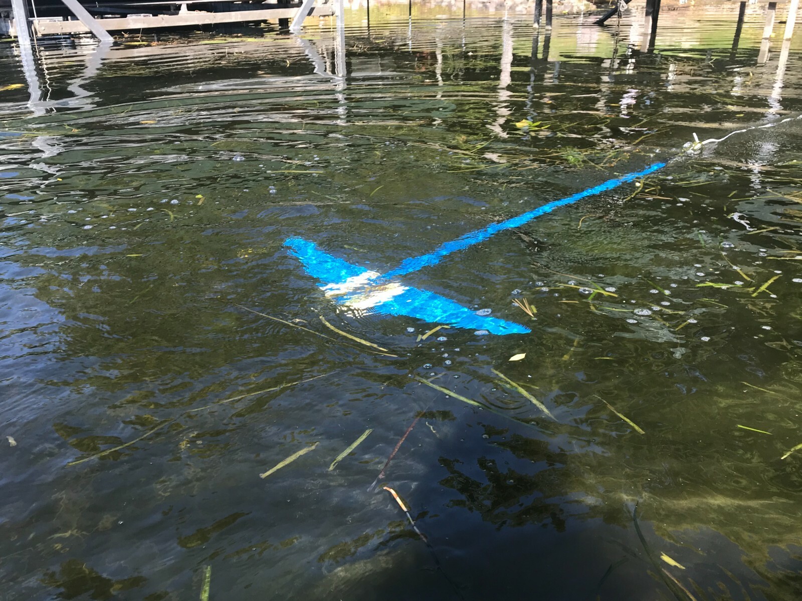 Weed Glider from Beachroller - CUT YOUR LAKEWEEDS FAST!