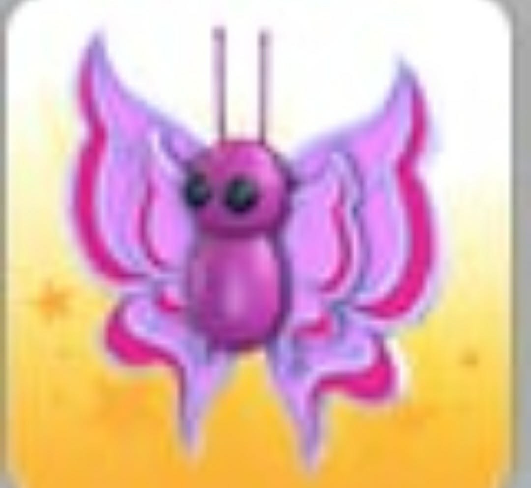 Orchid Butterfly | Adopt Now