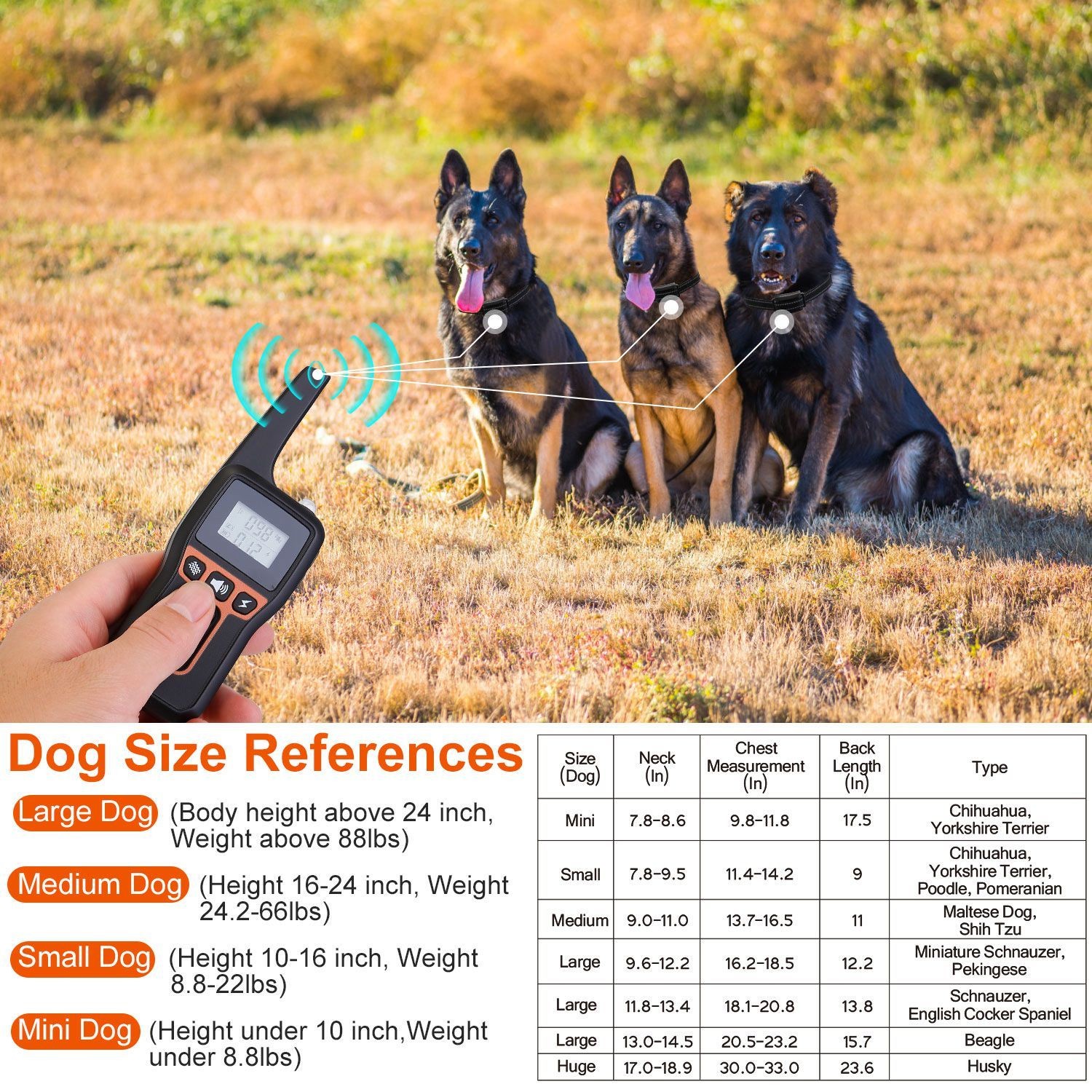 3280FT Training Collar 3 Channels Rechargeable Transmitter Receiver Flashlight