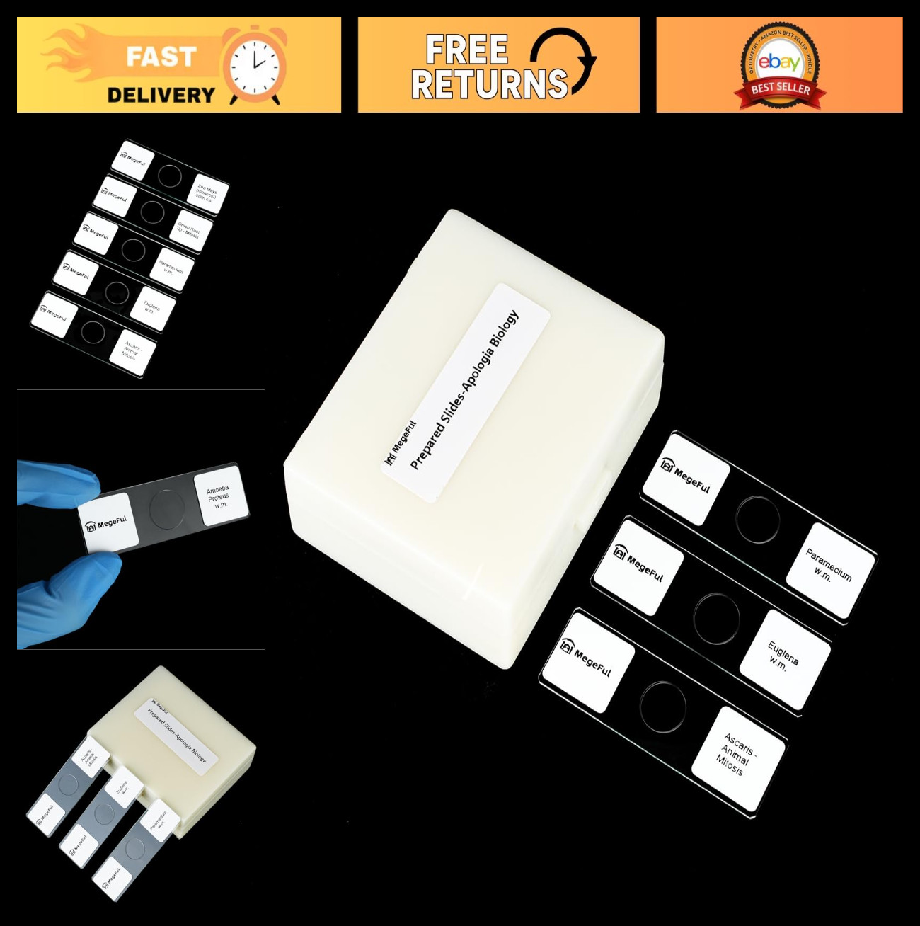 16PCS Prepared Microscope Slides Set for Biology - Various Sample Types Included