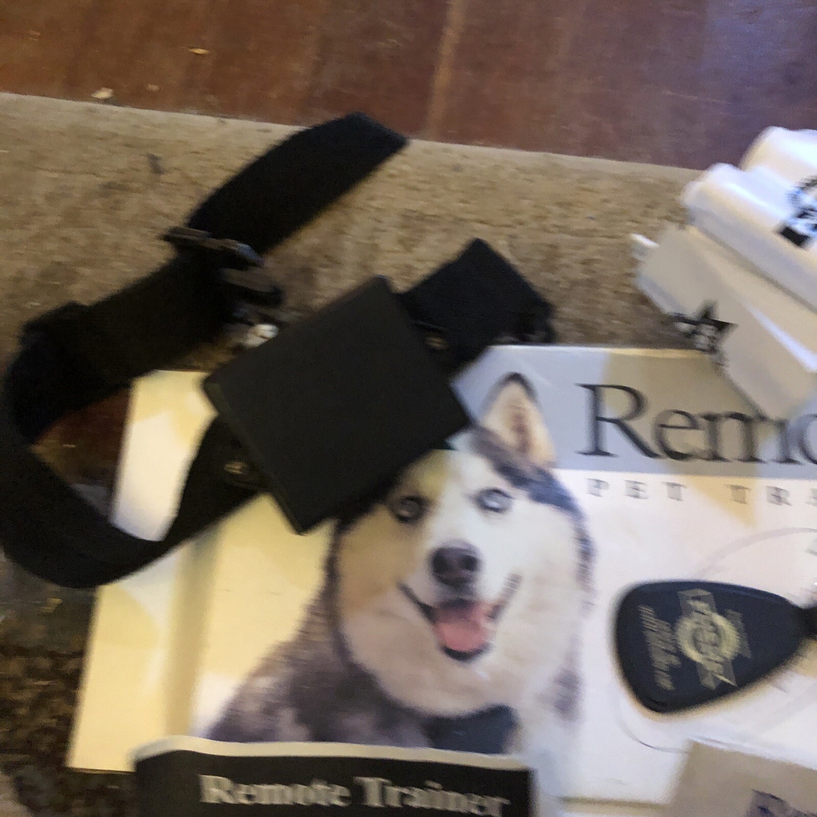 PetSafe Big Large Dog Remote Trainer PPT300 Collar