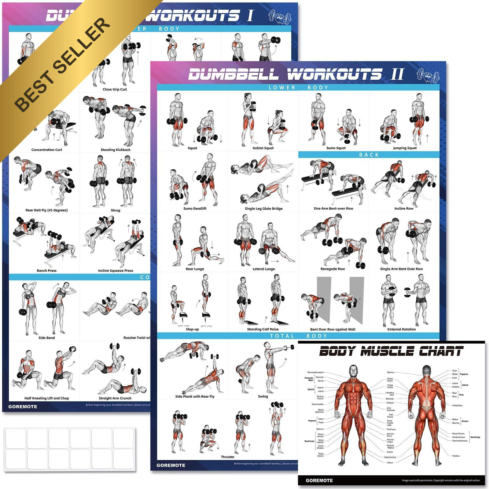 Dumbbell Workout Poster Set 2 Pack 18x24 Inch Home Gym Exercise Chart Vol 1 & 2