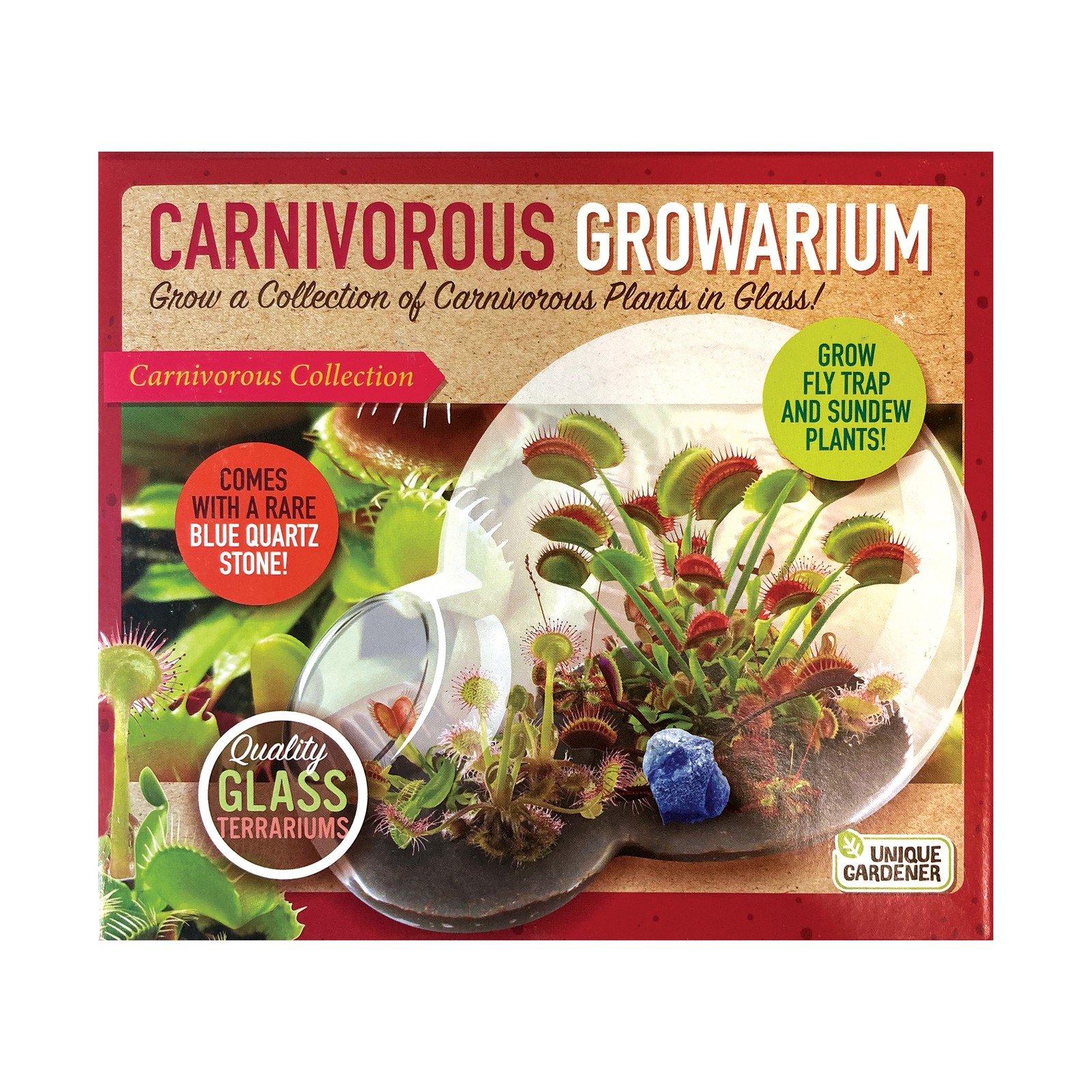 New - Unique Gardener Double Sphere Glass Terrarium - Carnivorous Growarium