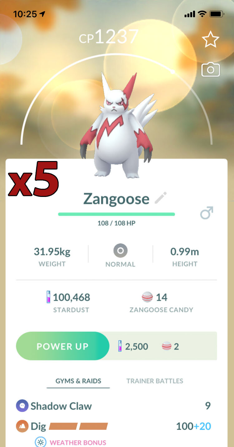 5x Zangoose Pokemon Bundle !! Good Chance of Lucky and Good IVs !! Go