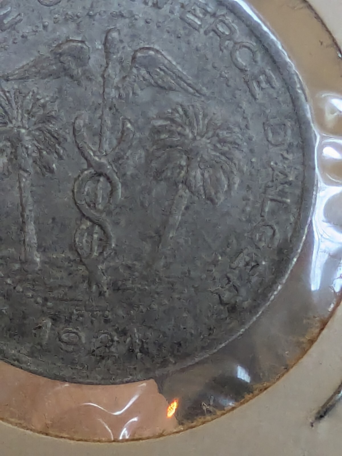 1921 Algeria Algers 5 Cent Token High Grade