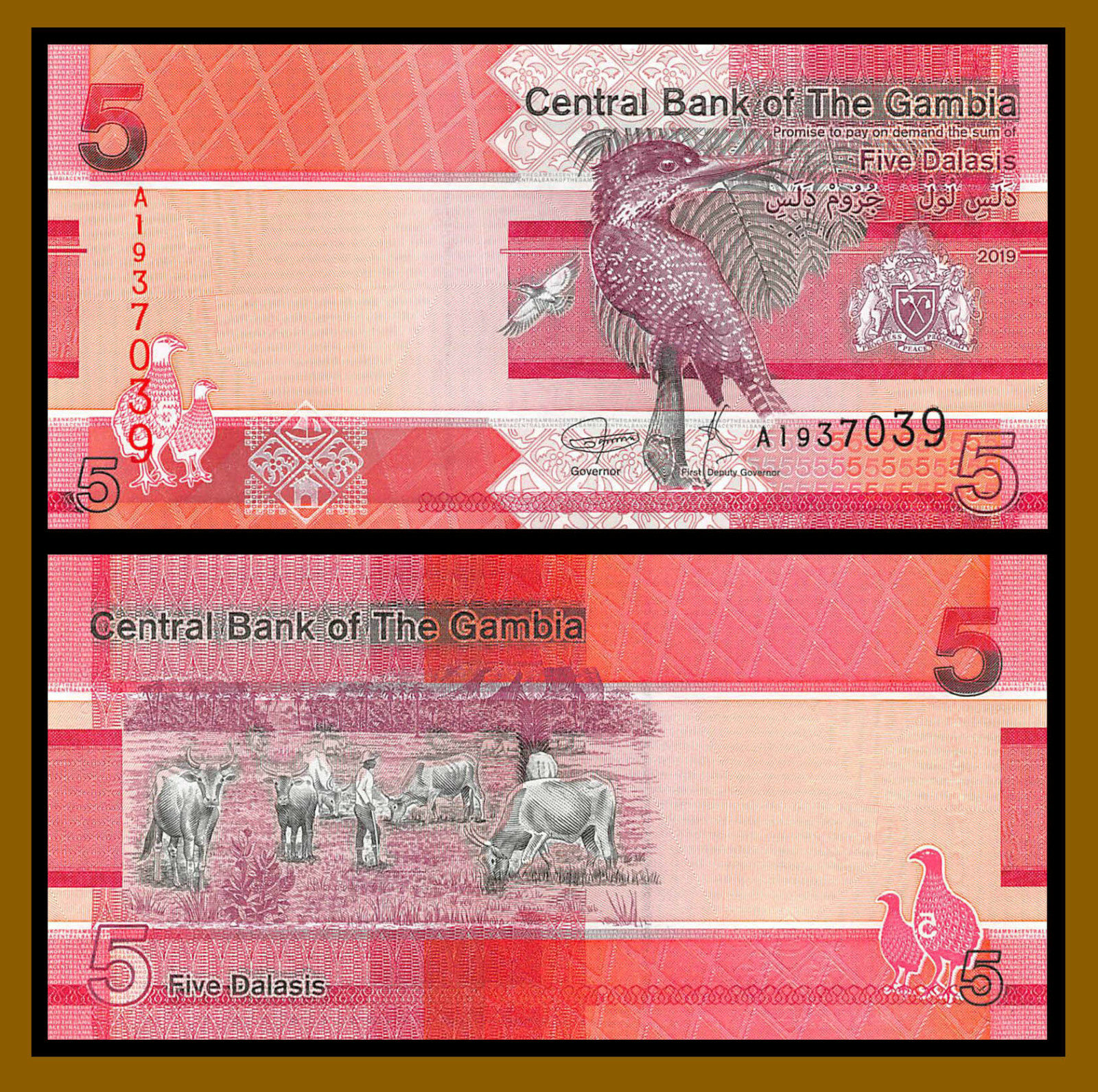 Gambia 5 Dalasis, 2019 P-New Bird Unc