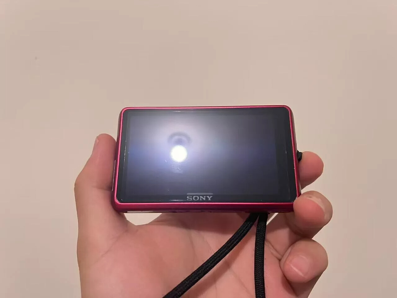 SONY Cyber-Shot DSC-TX66 Digital Camera - Red